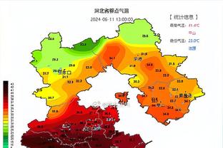 维卡里奥：我在布冯的神话中长大，偶像是汉达诺维奇